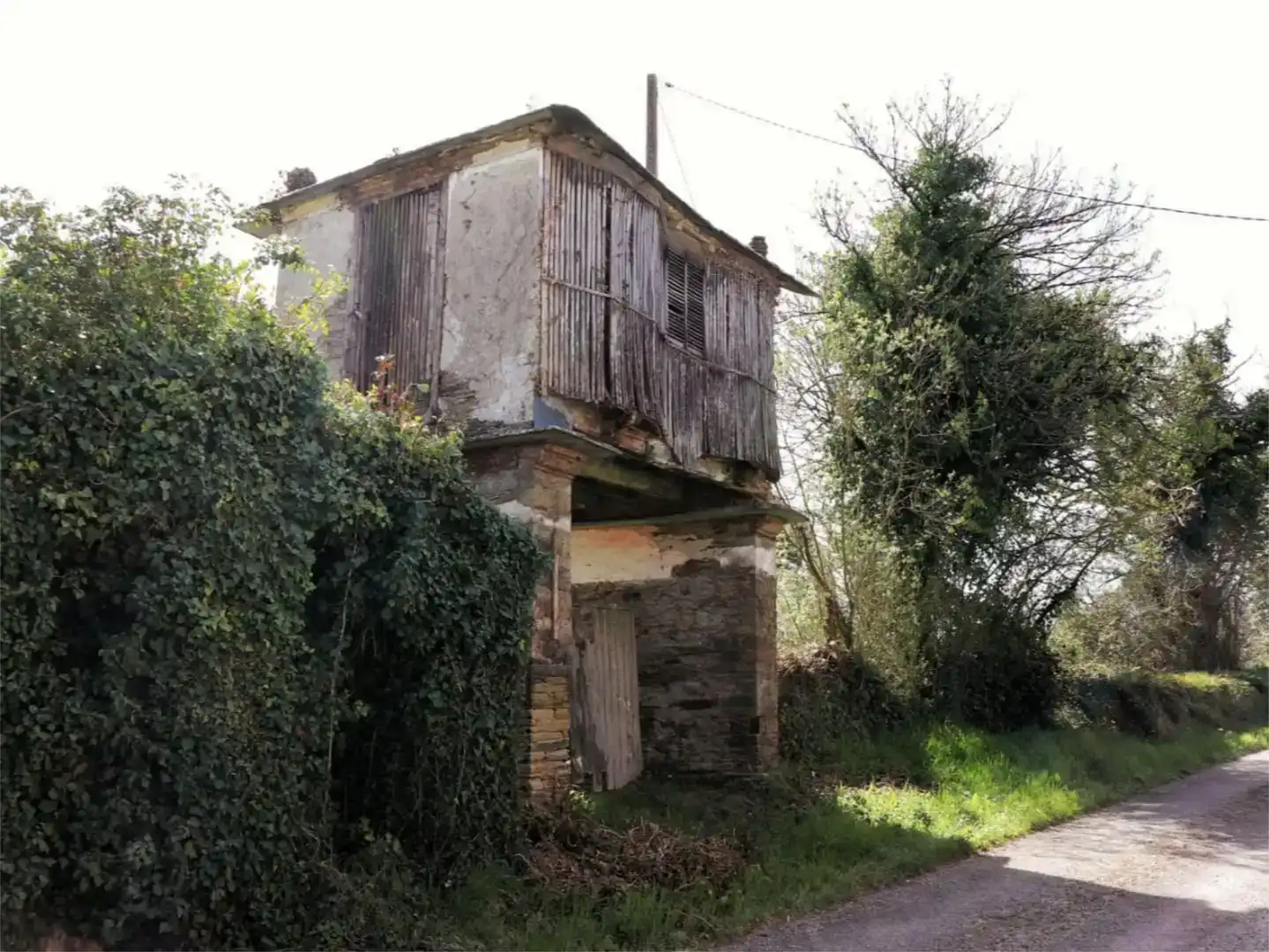 Vista exterior de Finca rústica en venta en Pol