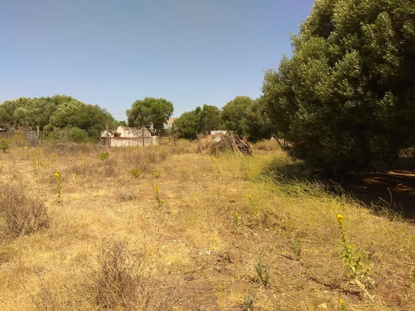 Terrain rustique à vendre à Vejer, imagen 16