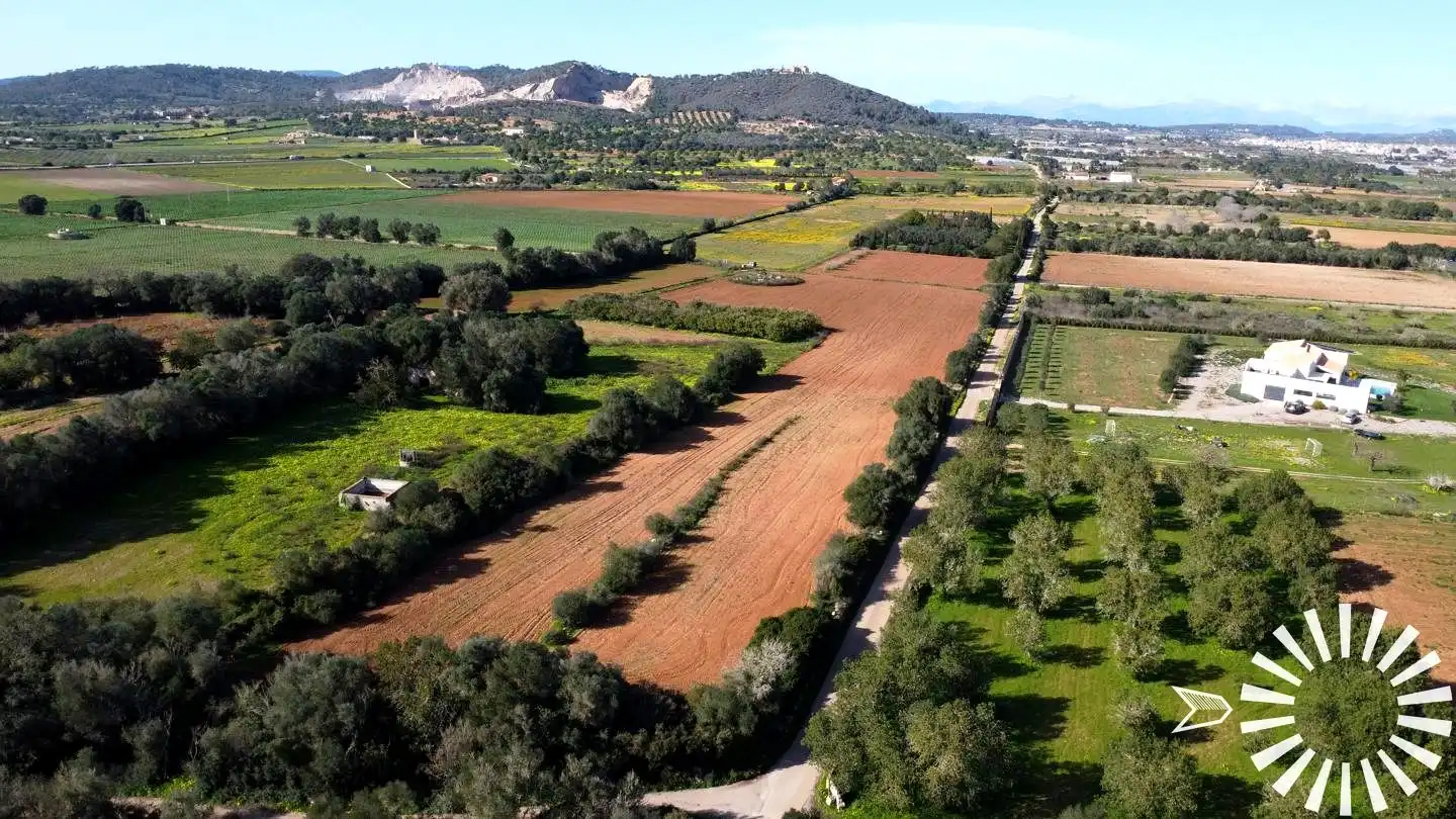 Terrain rustique à vendre à Cami de Son Pau, imagen 24