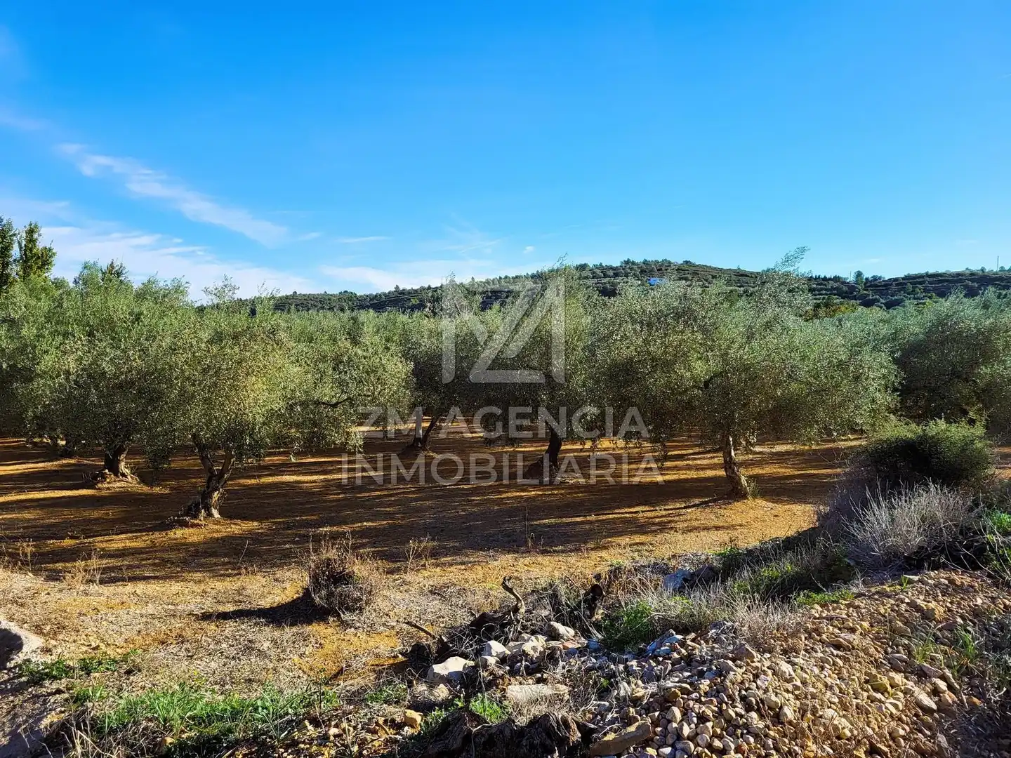 Casa rústica en venta en Traiguera, imagen 14