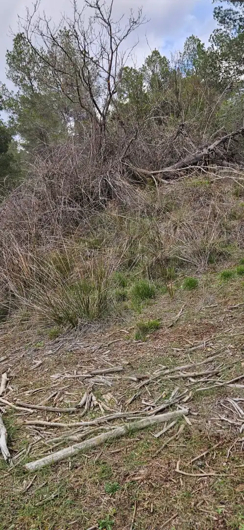 Terreno en venta en Las Parras de Castellote