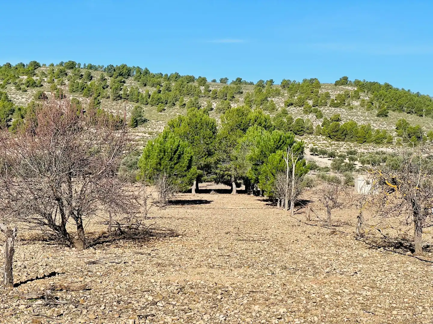 Terreny residencial en venda a Cañada, imagen 3
