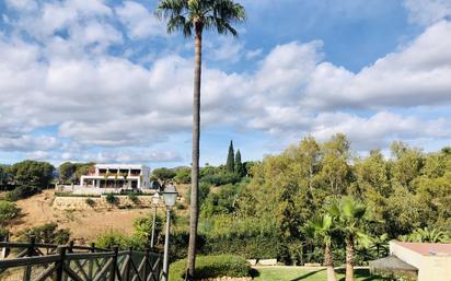 Vista exterior de Planta baixa en venda en Marbella amb Aire condicionat, Terrassa i Piscina