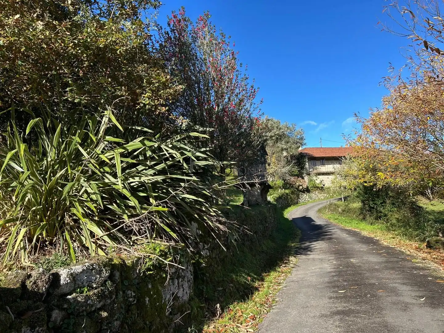 Vista exterior de Casa o xalet en venda en Cerdedo amb Jardí privat