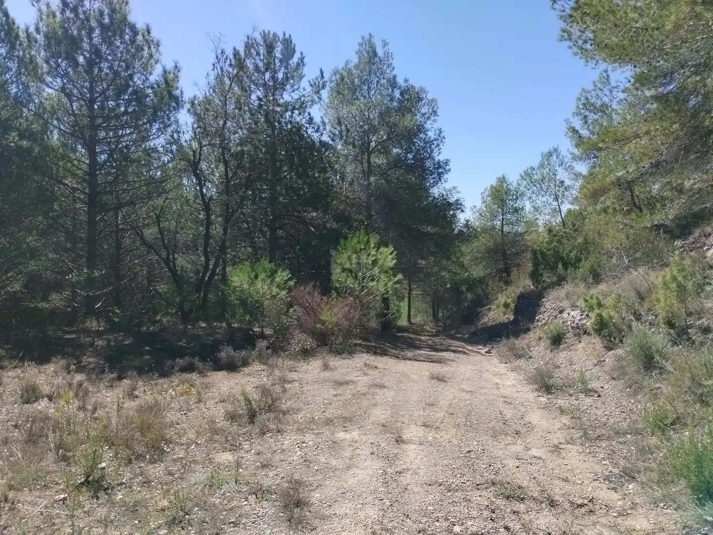 Terreno en venta en La Morera de Montsant