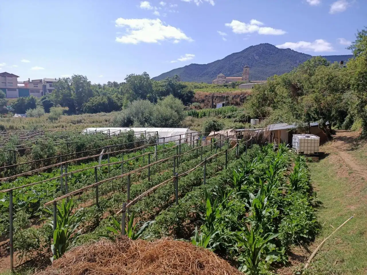 Garden of Residential for sale in Ayegui / Aiegi