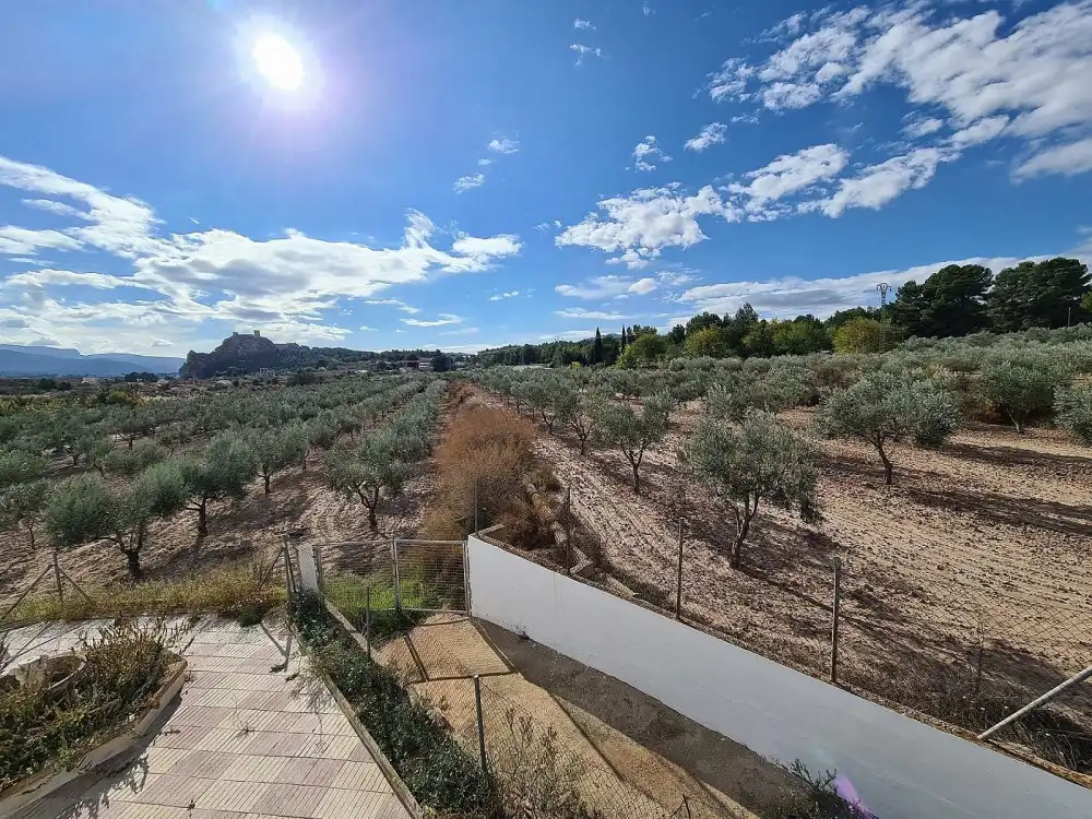 Casa en venta en Sax, imagen 33