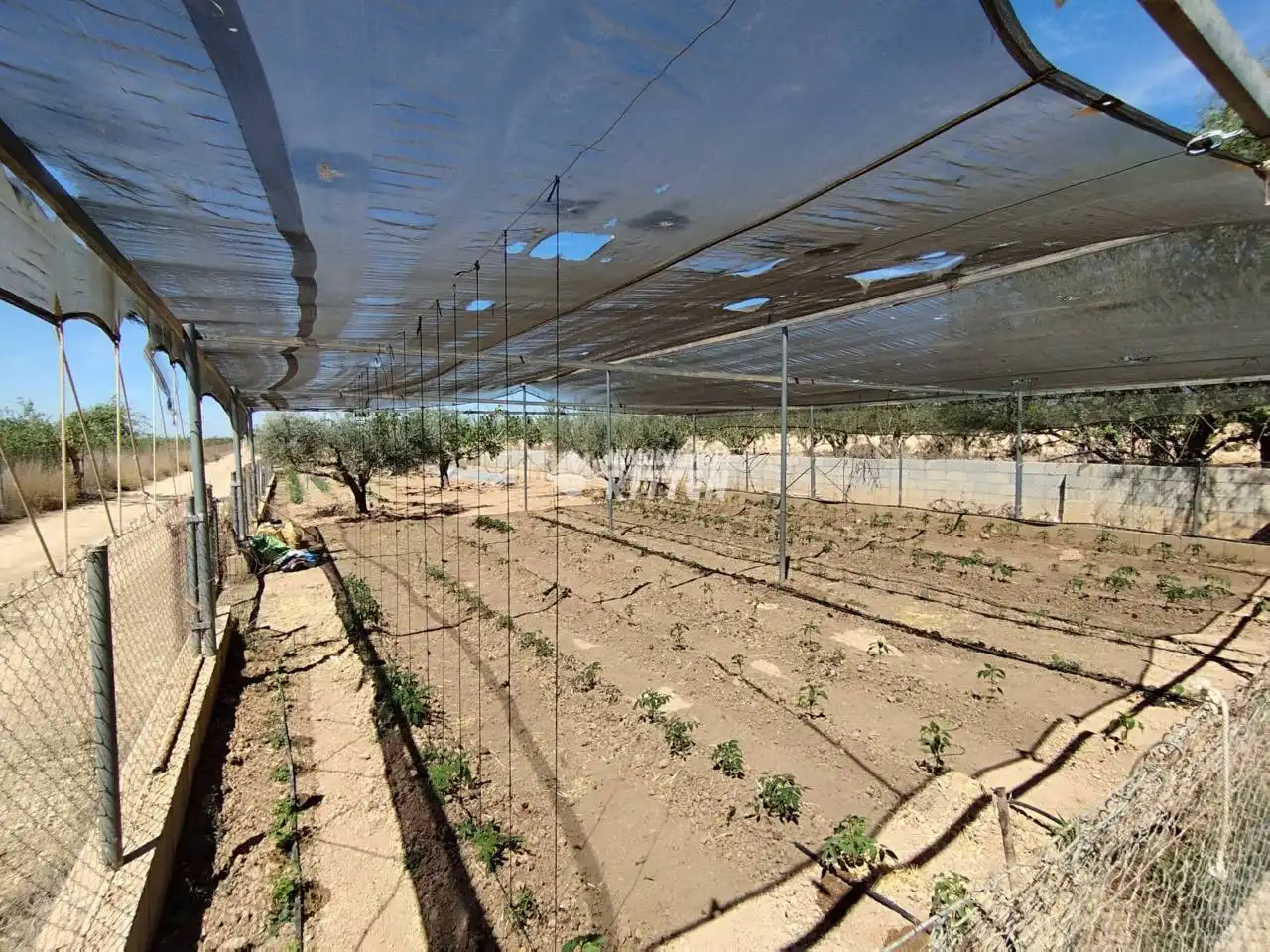 Jardí de Finca rústica en venda en Fuente Álamo de Murcia amb Aire condicionat, Jardí privat i Moblat
