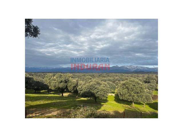 Finca rústica en Venta en Calle Pozo Angosto en Parrillas