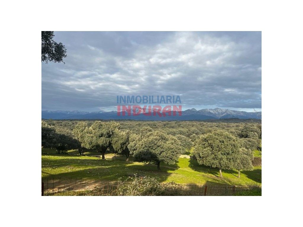 Vista exterior de Finca rústica en venda en Parrillas