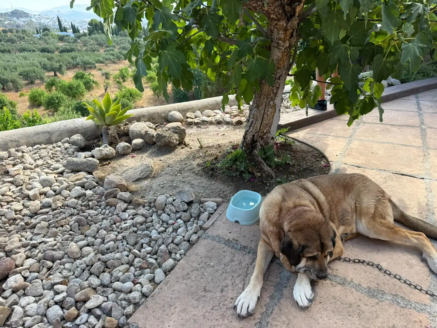 Vista exterior de Finca rústica en venda en Álora amb Aire condicionat, Calefacció i Terrassa