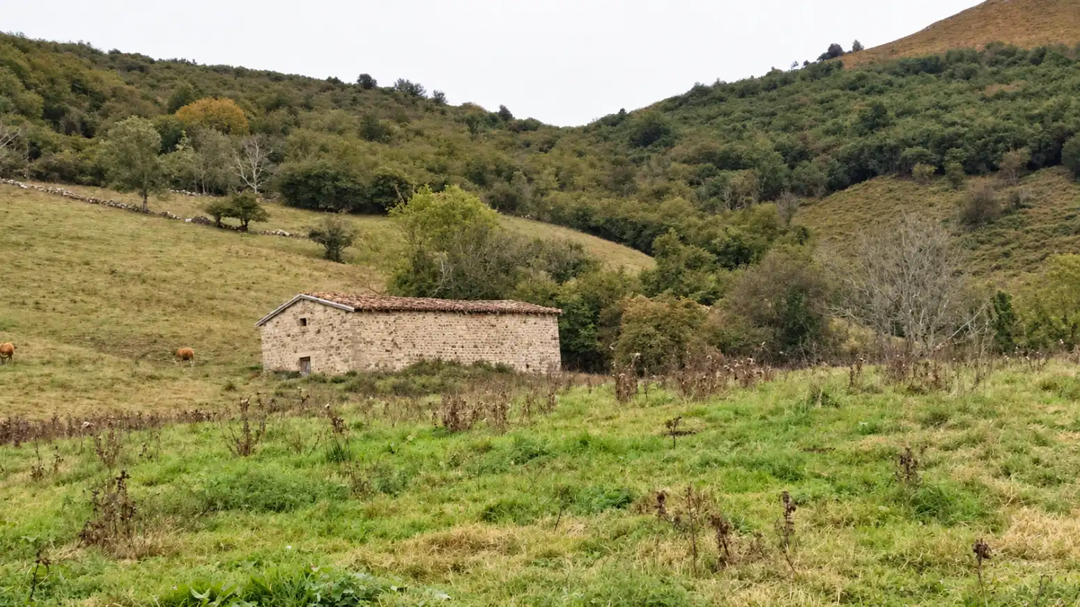 Casa amb jardí en venda a San Sebastián de Garabandal - MATAZORRA, imagen 2