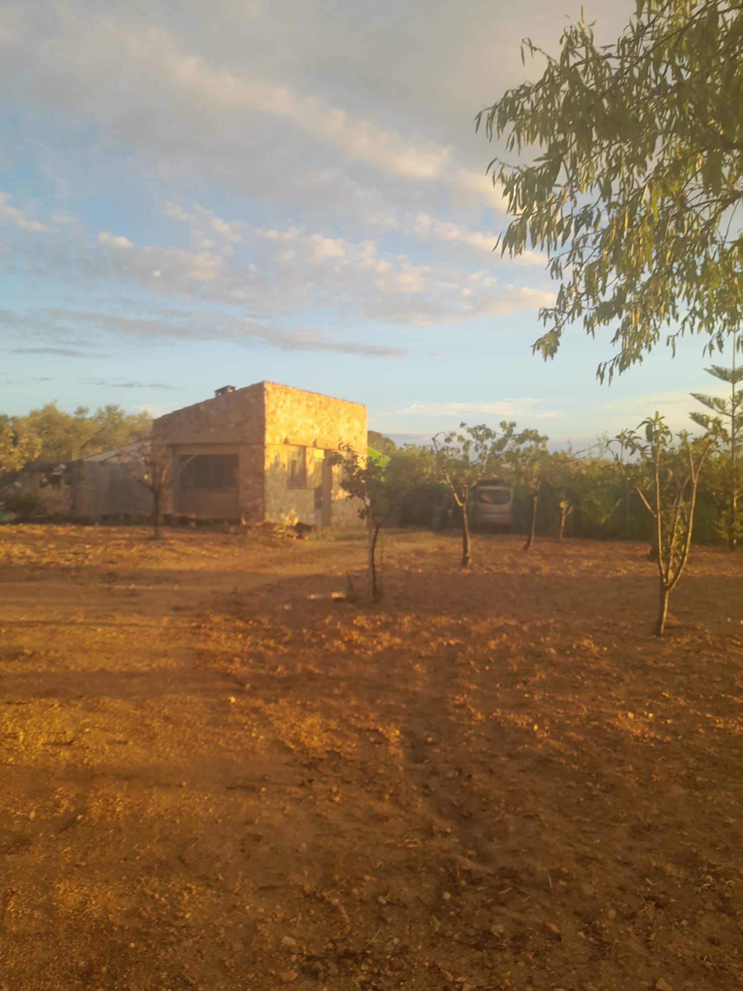 Land for sale in Salomó