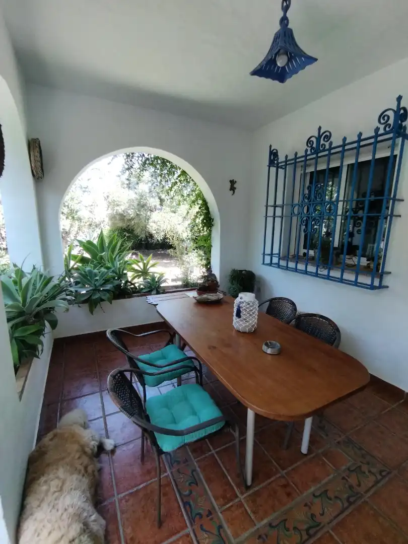 Jardí de Finca rústica en venda en Vejer de la Frontera amb Jardí privat, Terrassa i Moblat