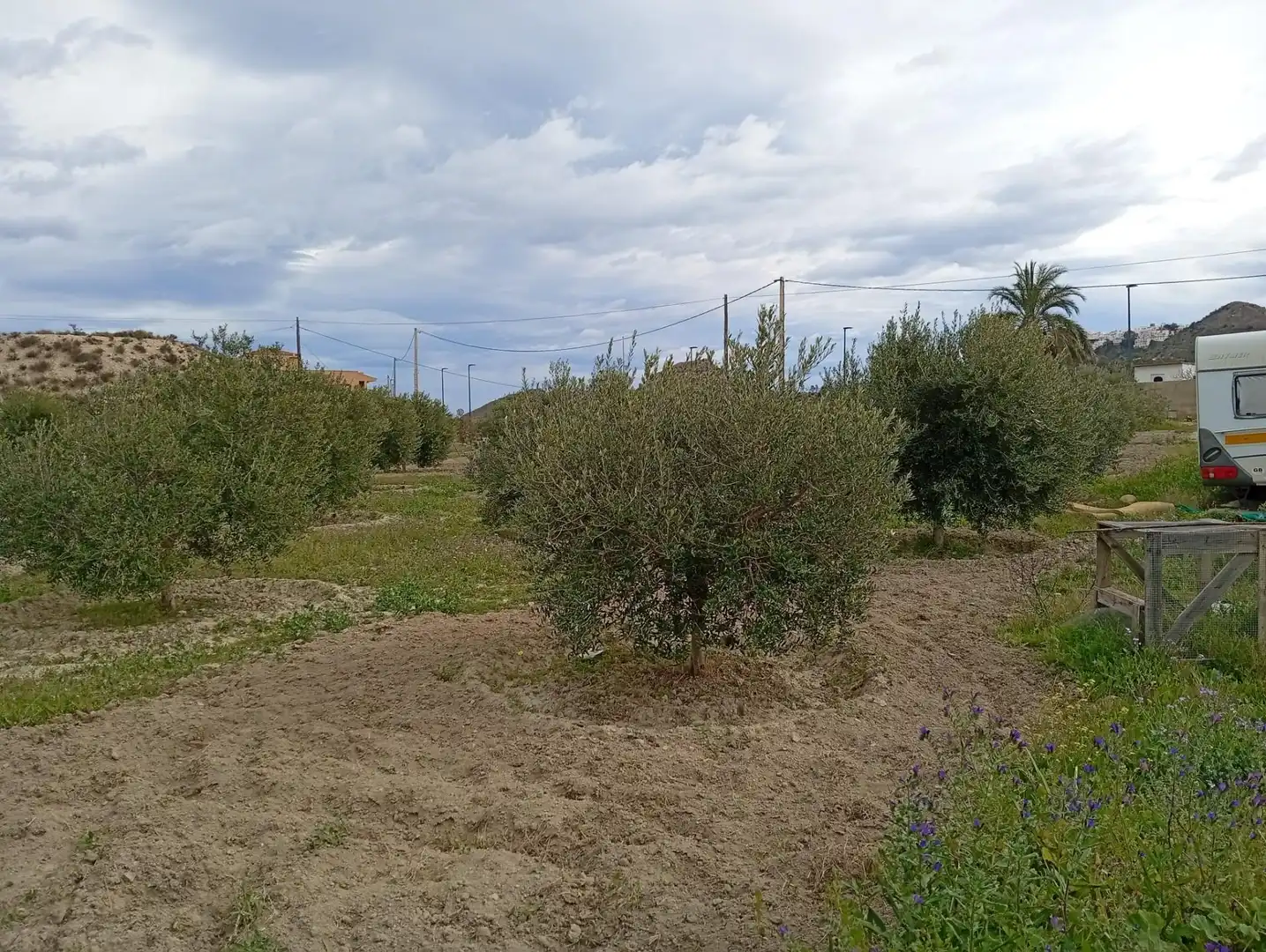 Terrenys i solars en venda a Mojácar Pueblo, imagen 3