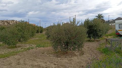 Photo 3 of Land for sale in Ciudad Jardín - Tagarete - El Zapillo,  Almería Capital