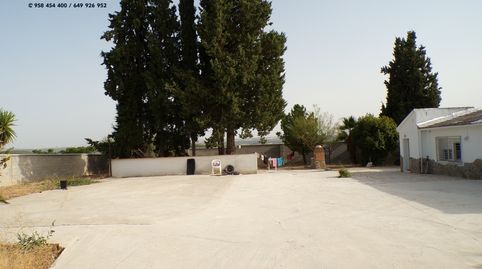 CORITJO EN VENTA EN PINOS PUENTE, immagine 4