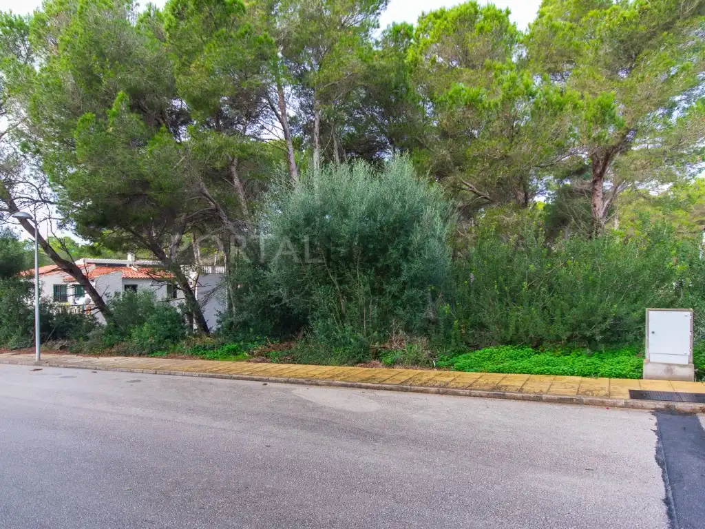 Residential land for sale in Son Parc, imagen 4