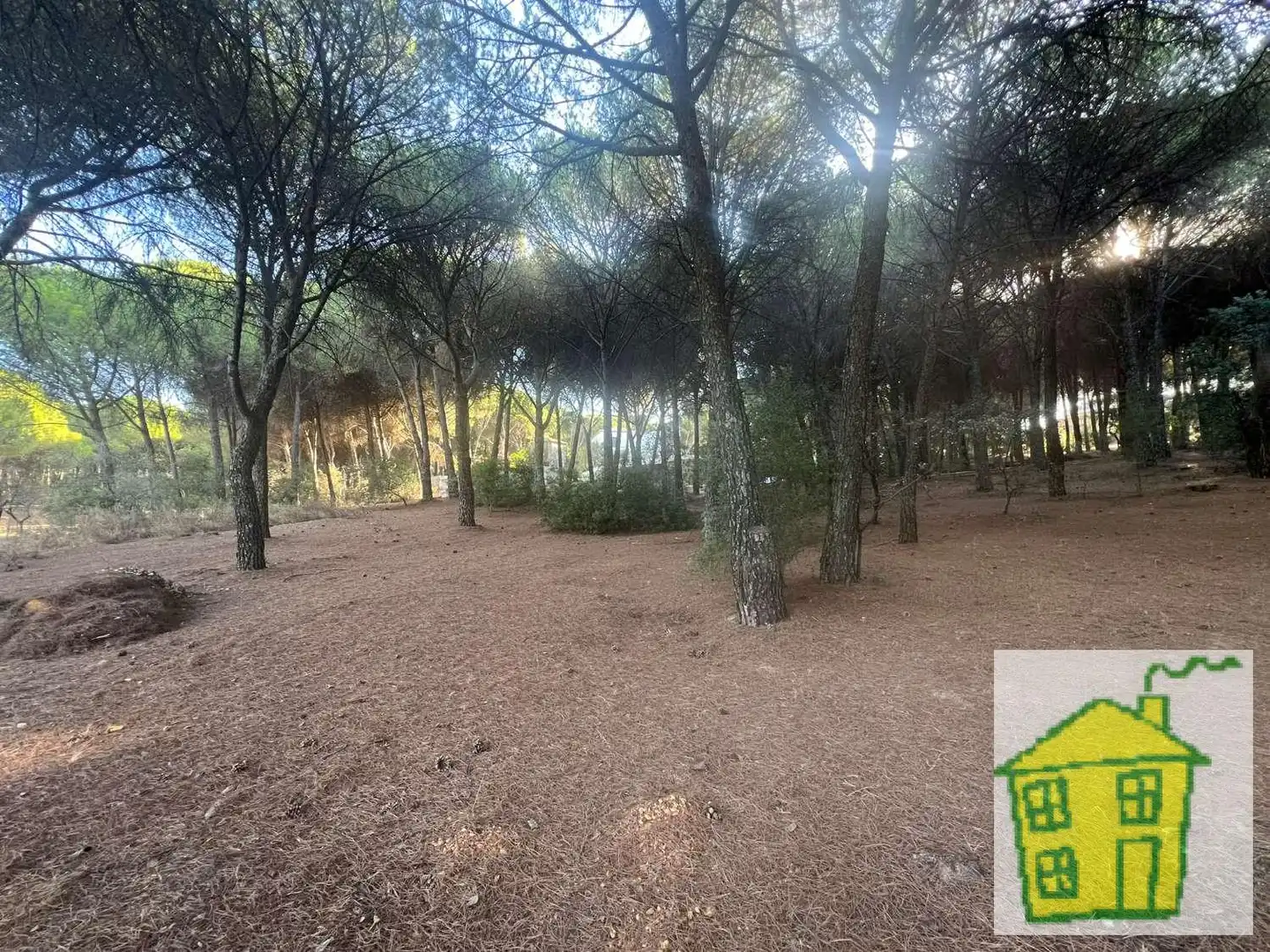 Country house with pool for sale in Andújar, imagen 10