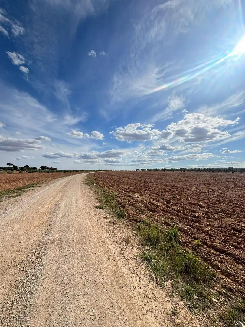 Rural land for sale in Valdepeñas, imagen 2