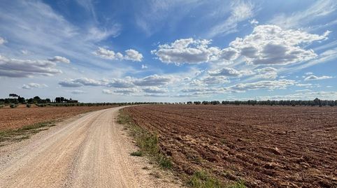 Tu Proyecto a Medida Terreno Estratégico y Listo para Empezar, imatge 2