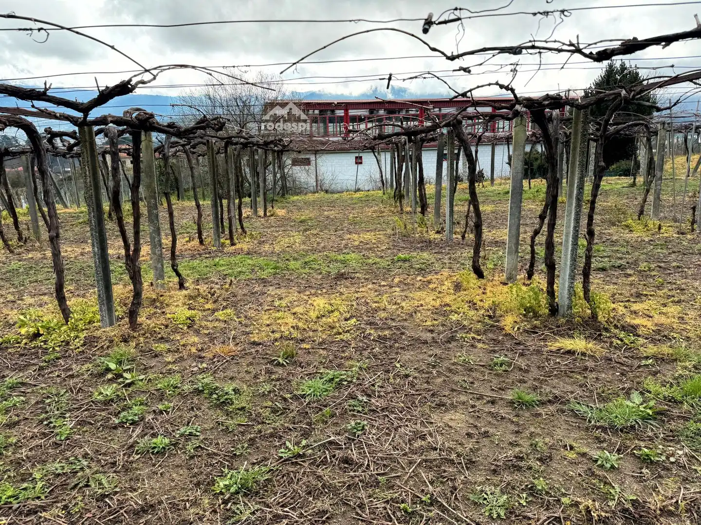 Rural land for sale in Arbo, imagen 24