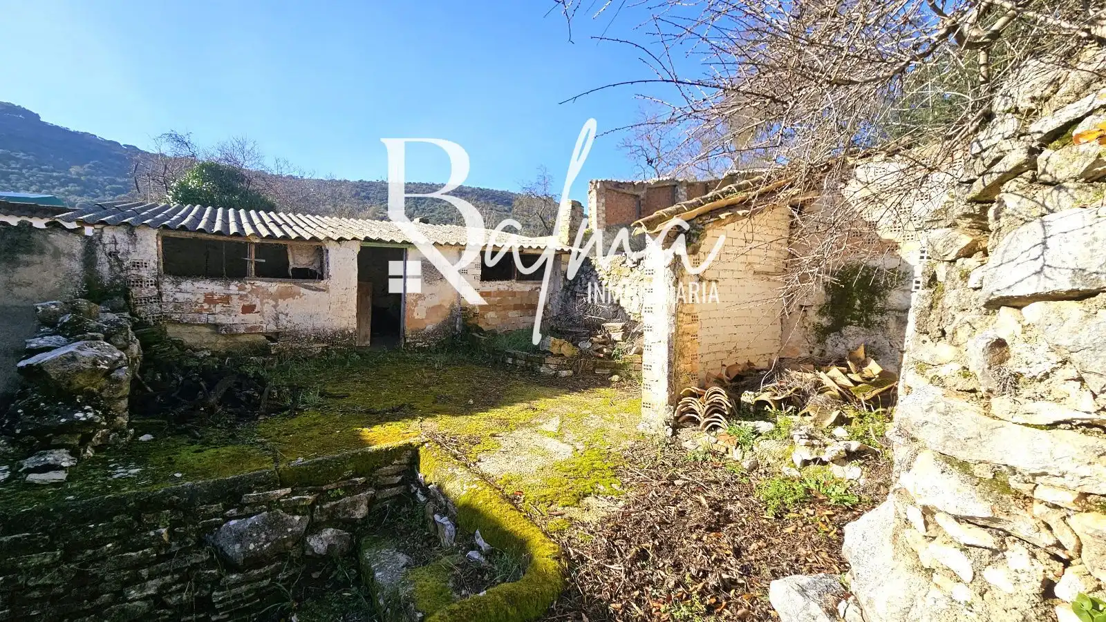 Jardín de Casa o chalet en venta en Alfarnate