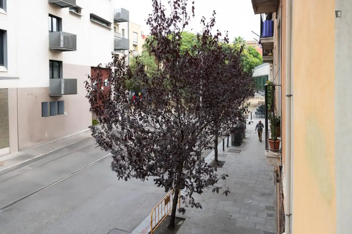 Estudio de alquiler en El Raval