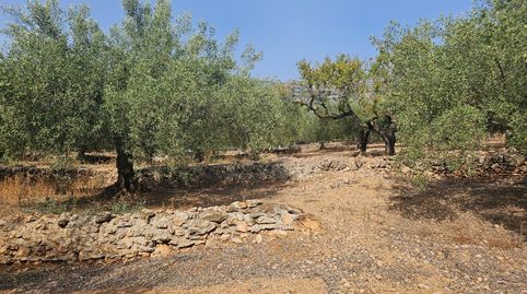 Foto 4 de Terreny en venda a Alcanar, Tarragona