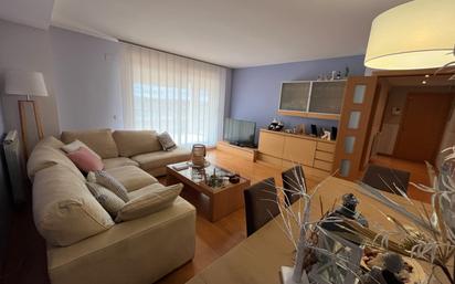 Sala d'estar de Àtic en venda en  Lleida Capital amb Aire condicionat, Calefacció i Parquet