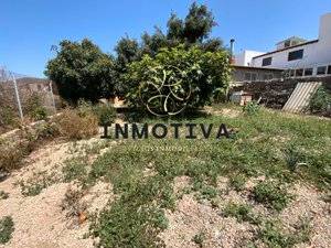 Finca rústica en Venta en Charco del Pino