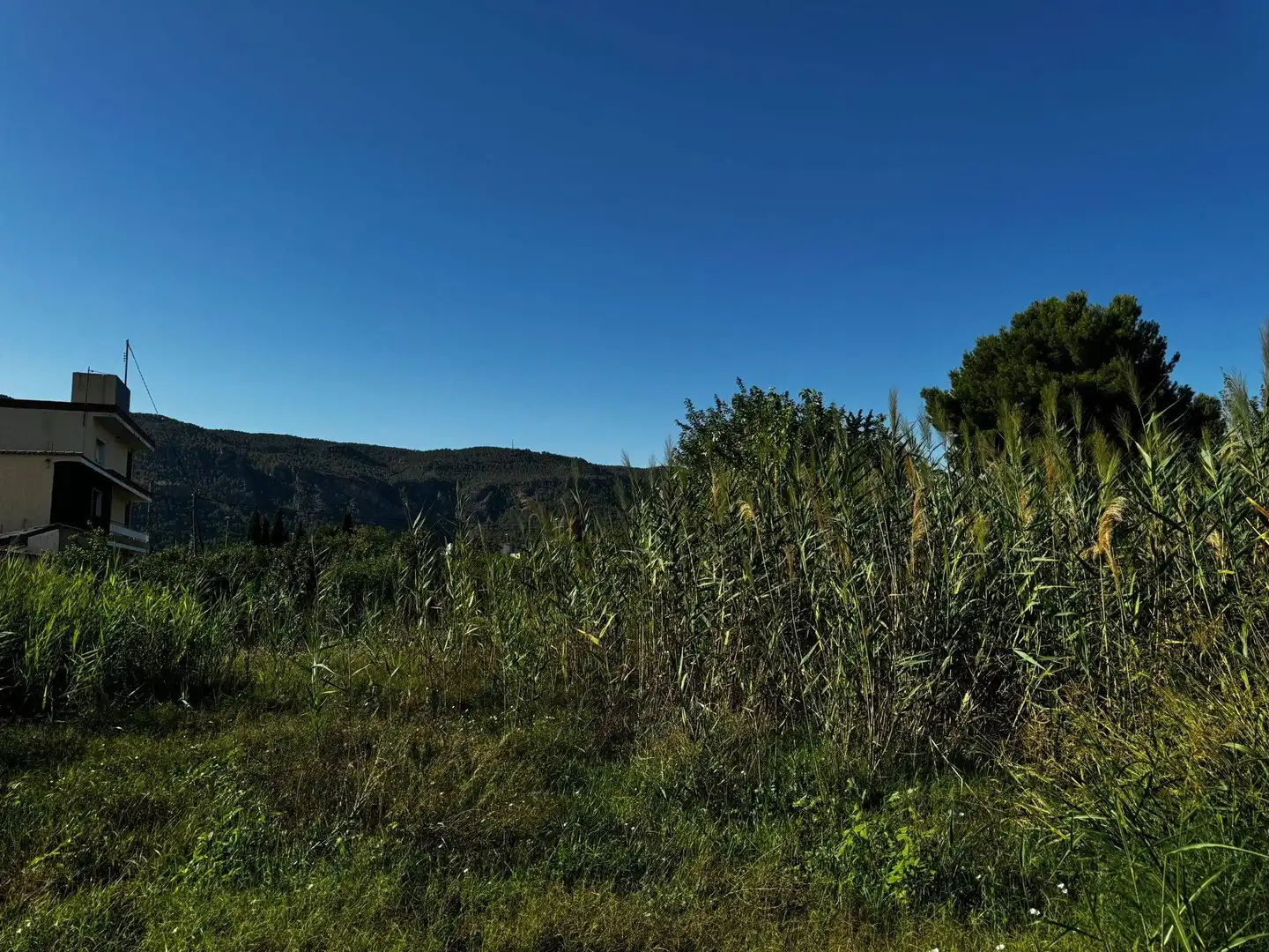 Terrenys i solars en venda a Pedanías Este, imagen 6