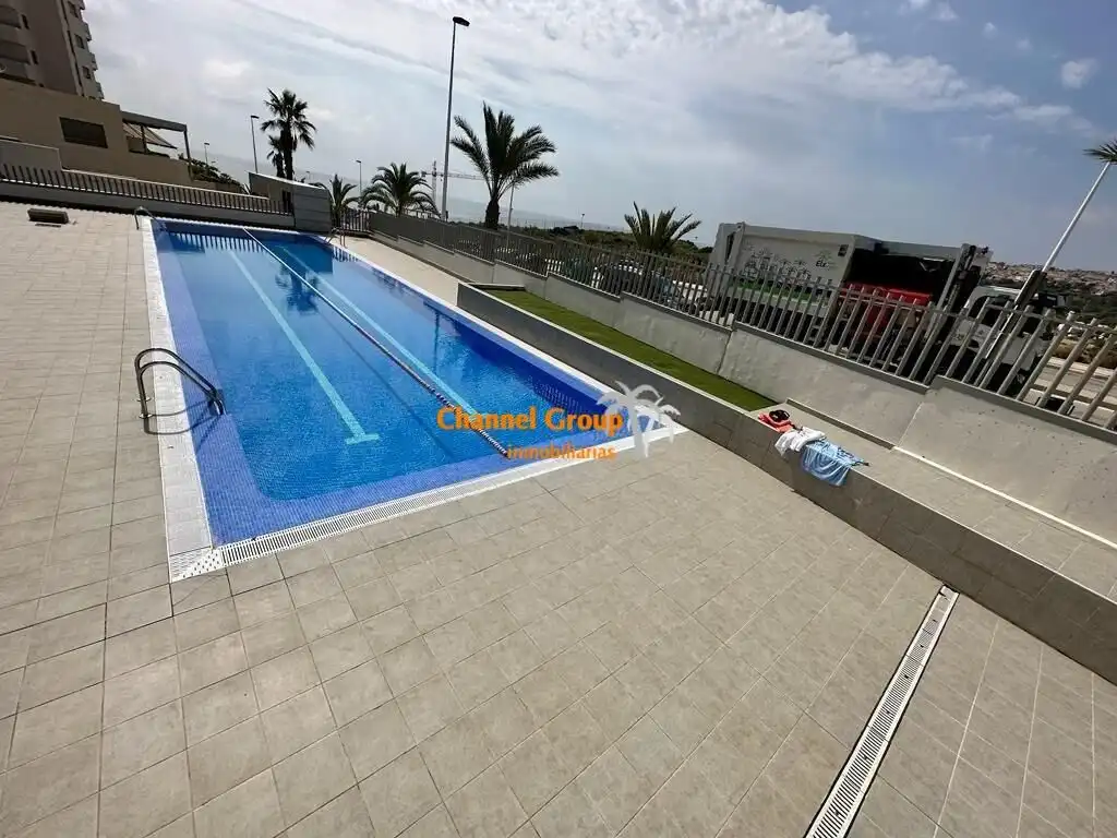 Swimming pool of Apartments for rent in Elche / Elx  with Terrace, Storage room and Furnished