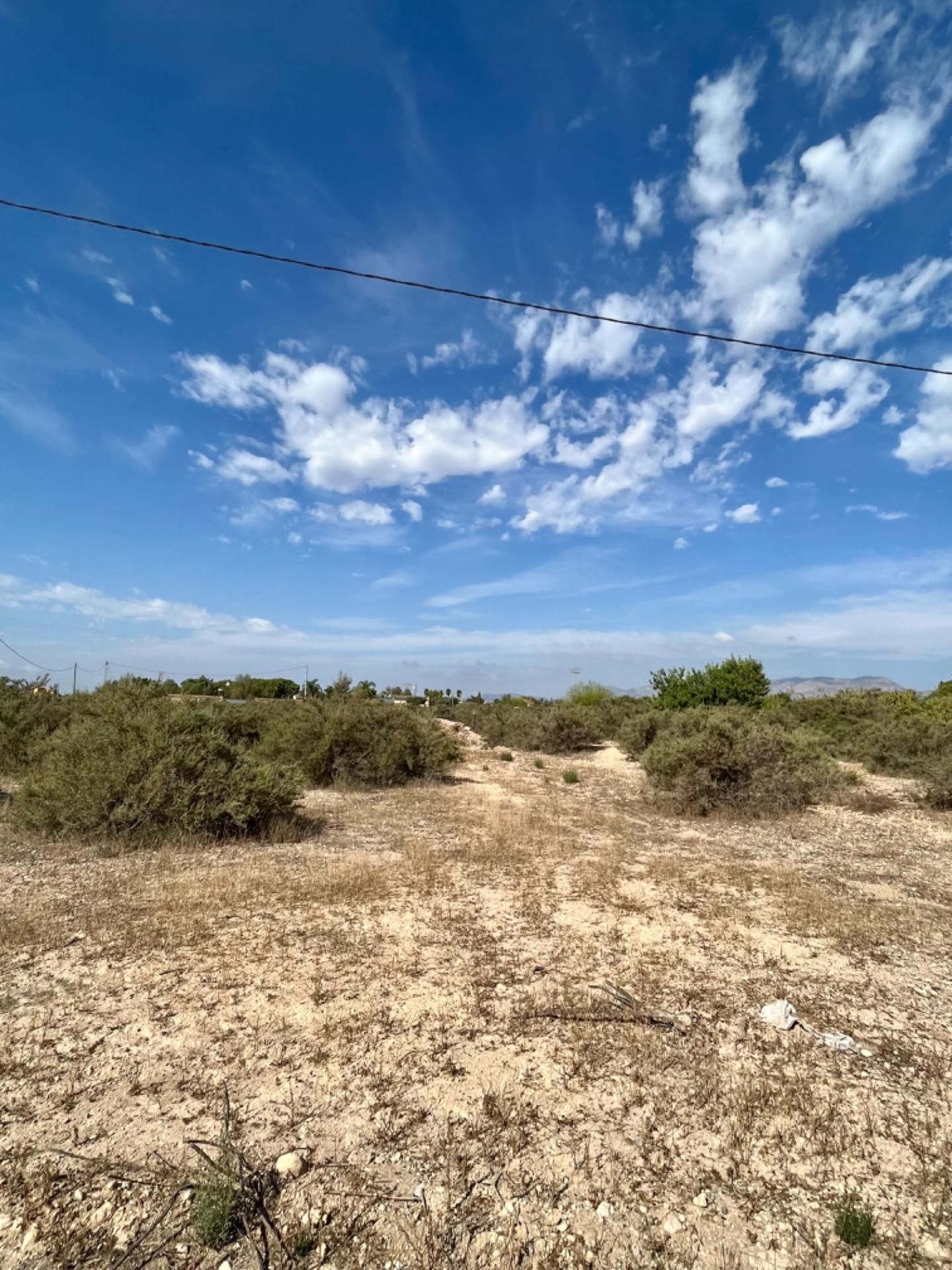 Industrial land for sale in Elche de la Sierra