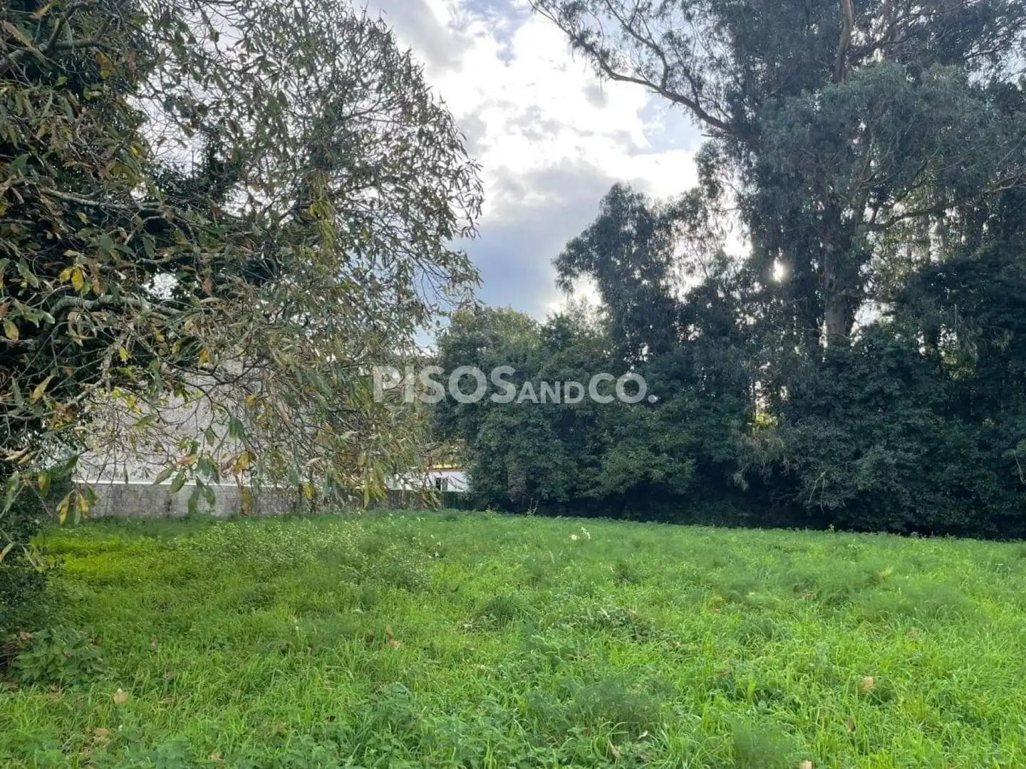 Terreni e lotti in vendita a Emilia Pardo Bazán, imagen 7
