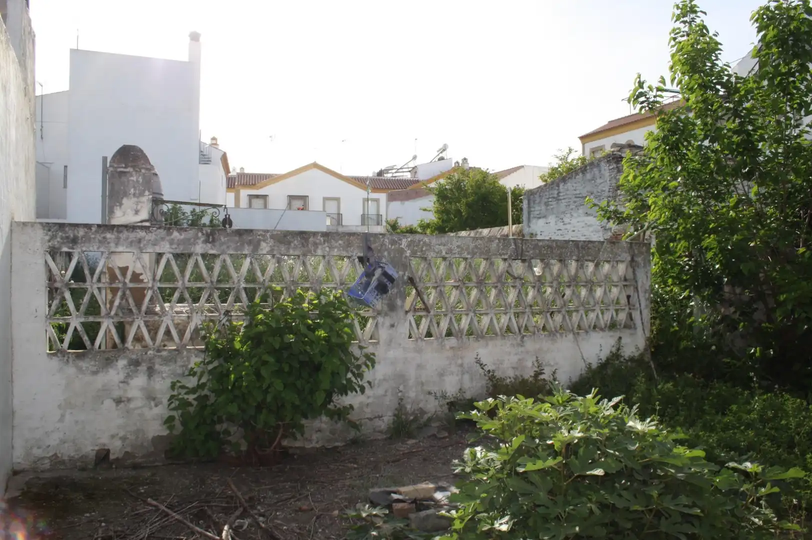 Houses for sale in Carrión de los Céspedes