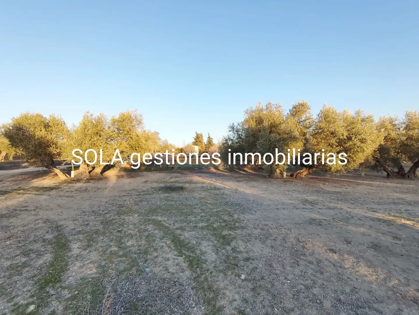 Terrenos y solares en venta en Úbeda, imagen 2