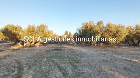Imatge 2 de l'anunci