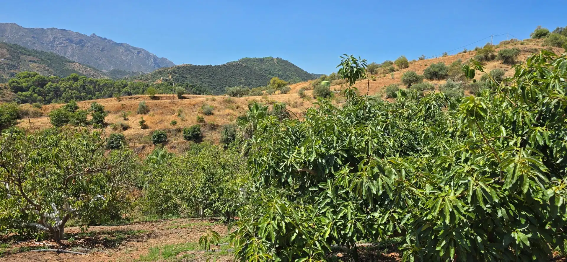 Casa o xalet en venda en Guaro amb Aire condicionat, Jardí privat i Moblat