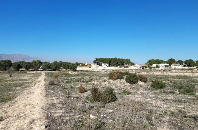 Terreno residencial en venta en ORITO, POLIGONO 11, imagen 8