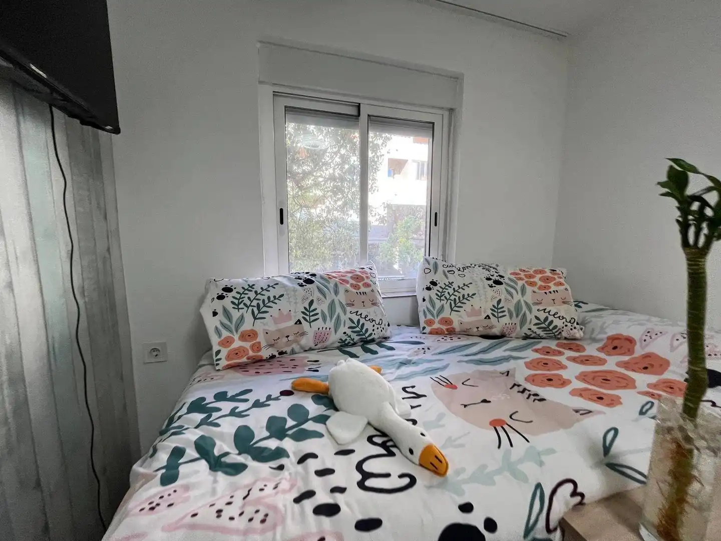 Habitación de Piso en venta en Elche / Elx con Balcón