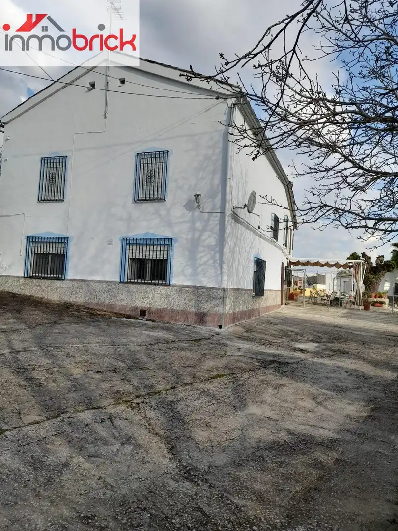 Vista exterior de Finca rústica en venta en Lucena