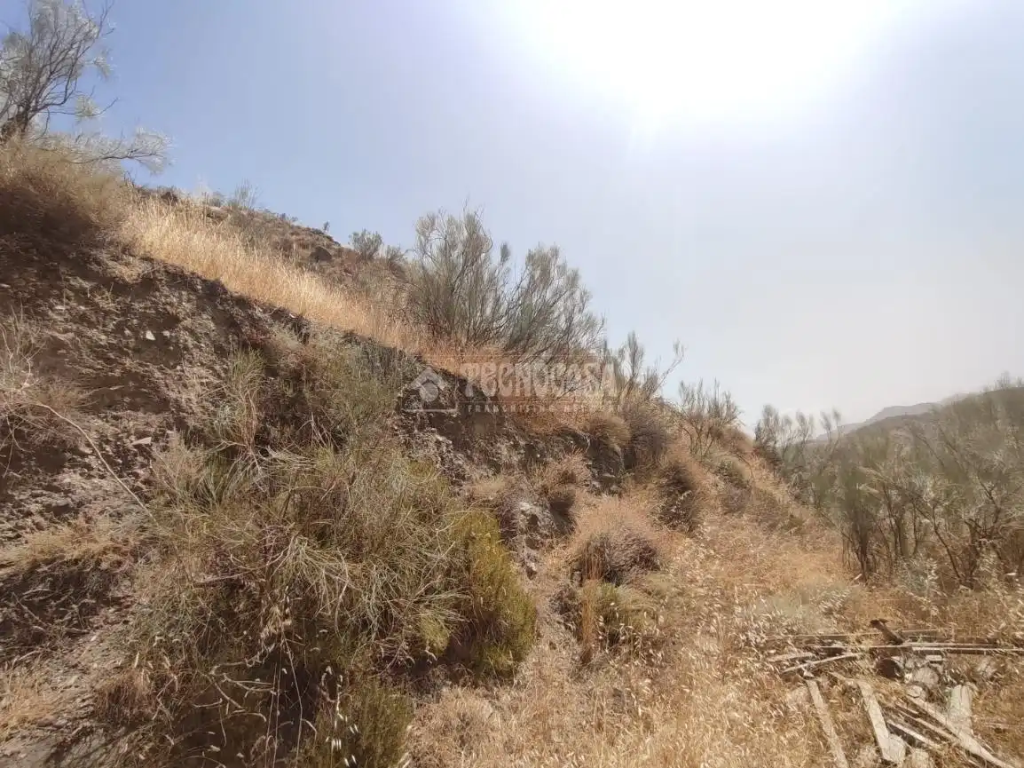 Rustikales Grundstück zum Verkauf in Pinos Genil, imagen 7