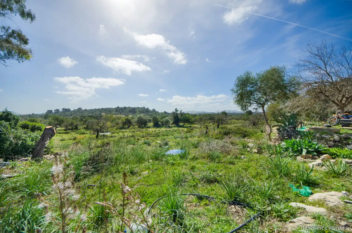 Terreny residencial en venda a Artà Poble, imagen 8