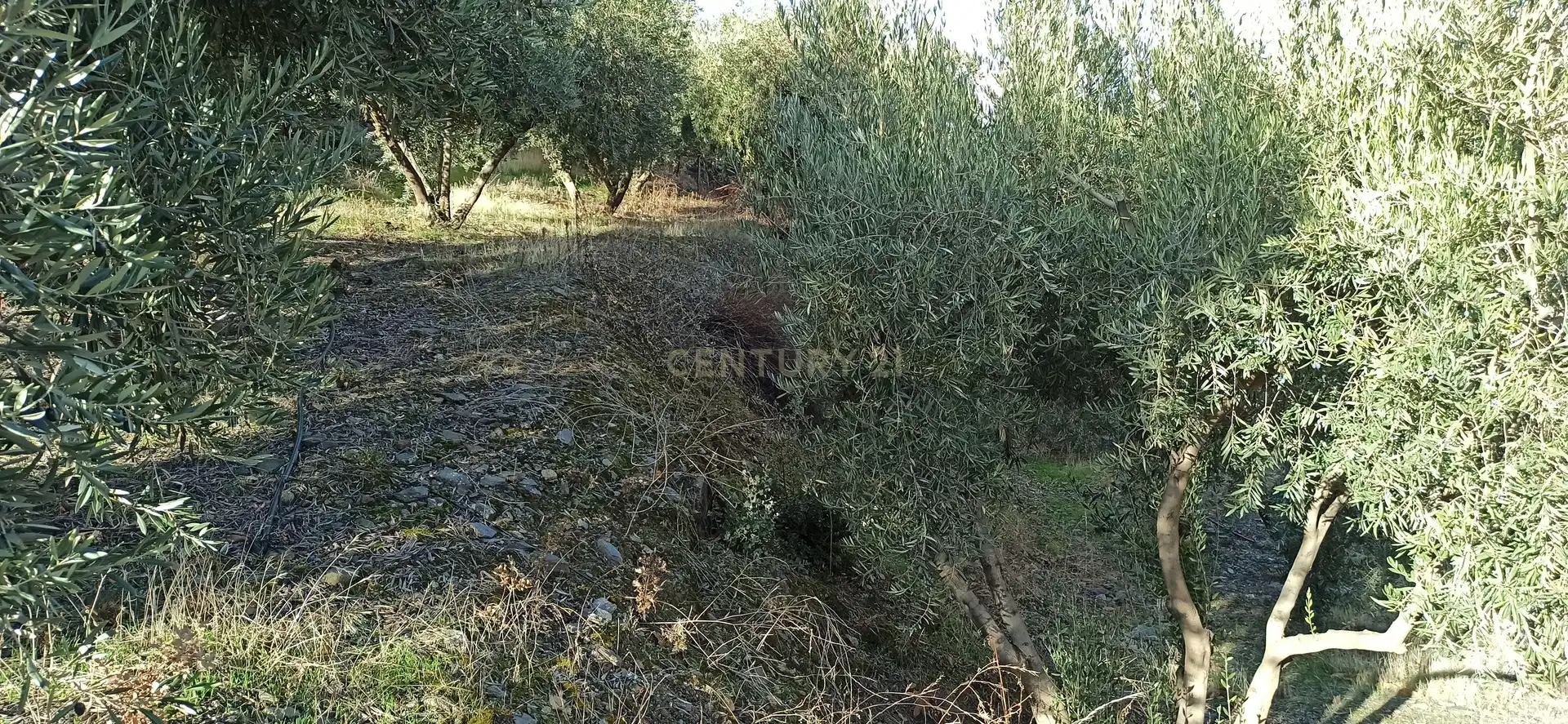 Rural land for sale in El sotillejo , Guejar sierra 178, imagen 6