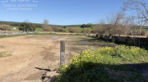 Foto 2 de Finca rústica en venda a Pilas, Sevilla