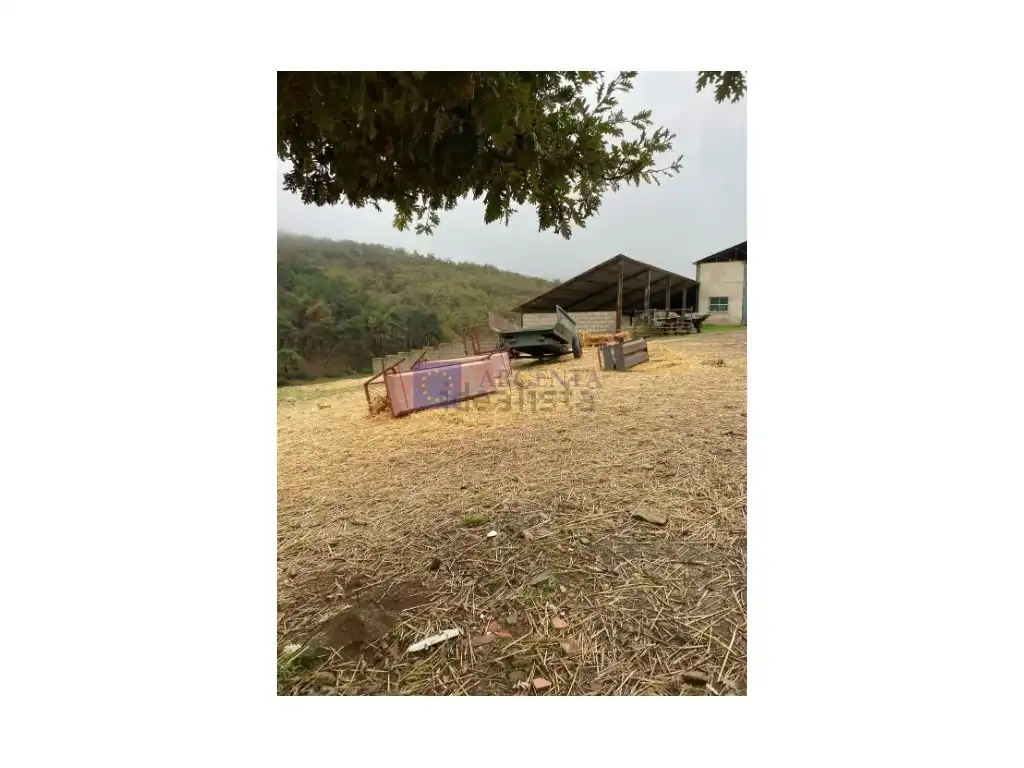 House for sale in Diseminados Carrascal, imagen 21