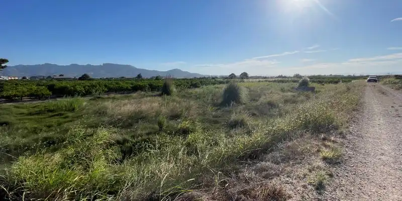 Rural land for sale in Carretera Carretera de la Parra, imagen 3