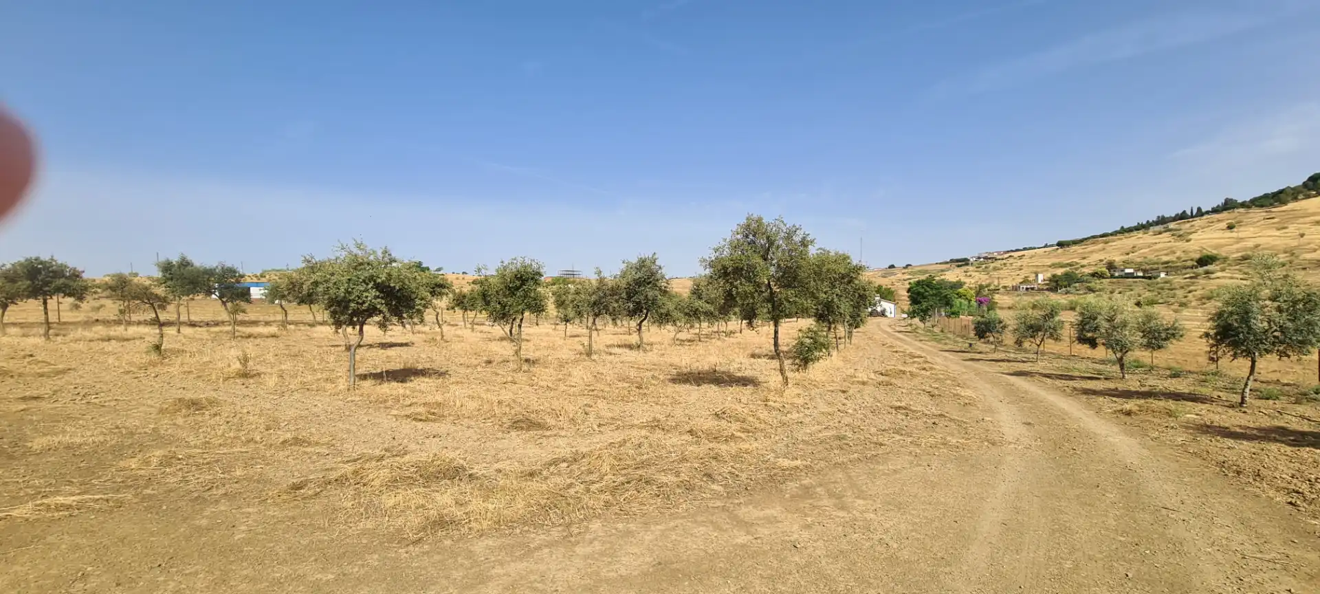 Terreni e lotti in vendita a Azuaga, imagen 15