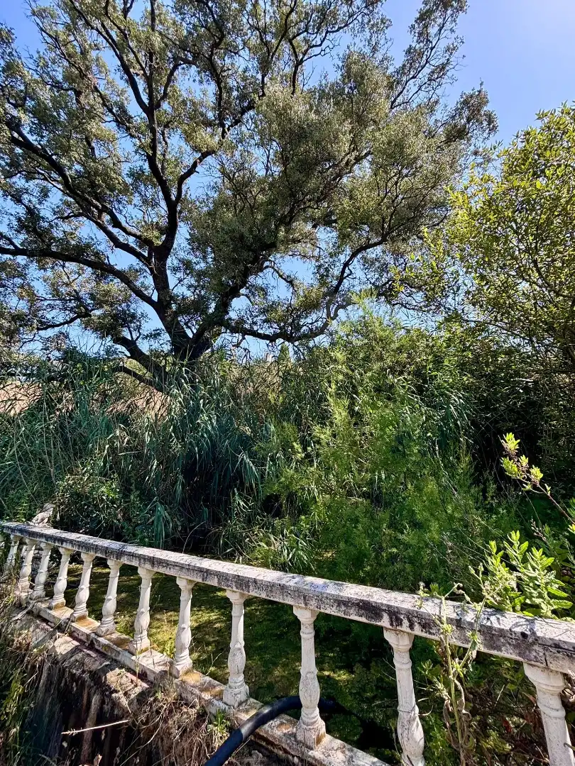 Grundstücke zum Verkauf in Arcos de la Frontera